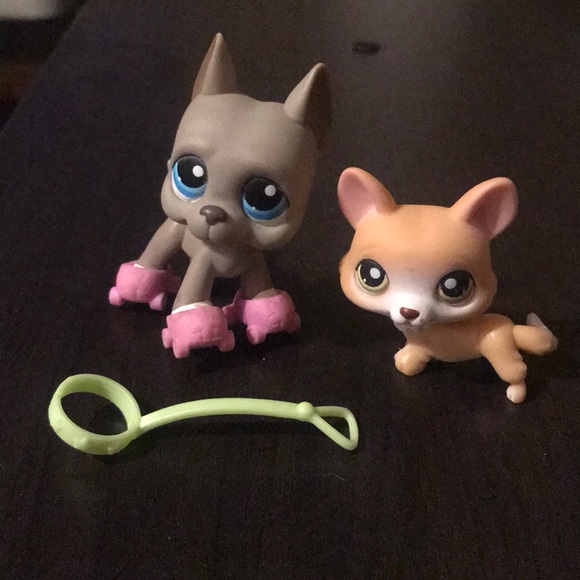 littlest pet shop corgi